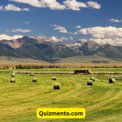 Montana