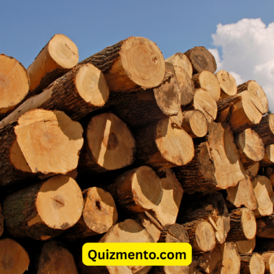 Timber