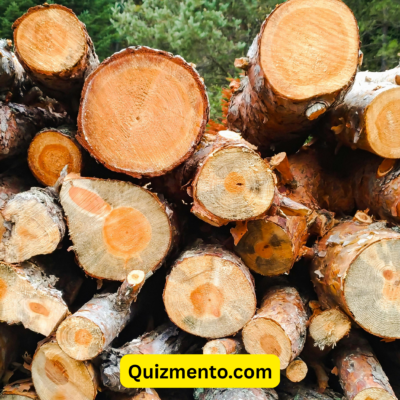 Timber