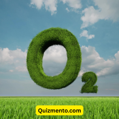 O2