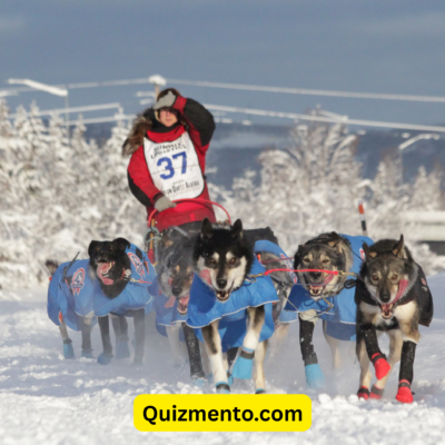 Yukon Quest