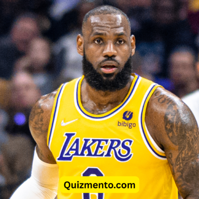 LeBron James (28)